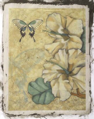 Hibiscus Medley I ***