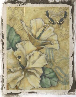 Hibiscus Medley II ***