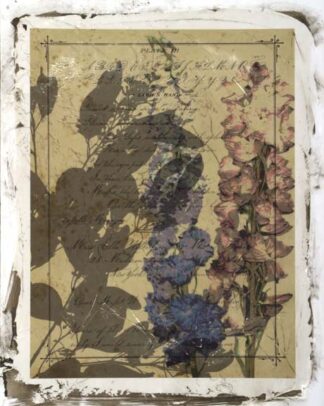 Handwritten Wildflowers I