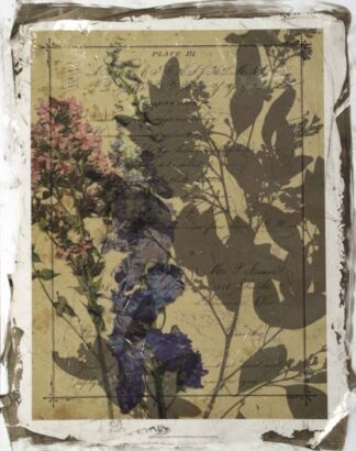 Handwritten Wildflowers II