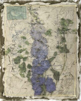 Postcard Wildflowers II ***