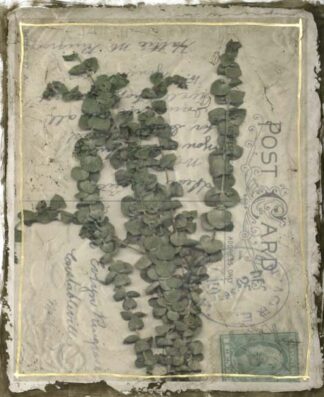 Postcard Wildflowers III ***