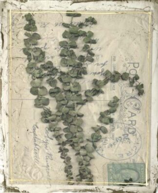 Postcard Wildflowers IV ***