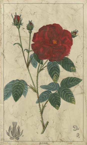 Embellished Crimson Bloom III