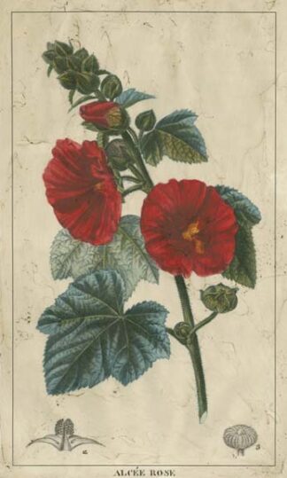 Embellished Crimson Bloom IV