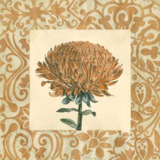 Chrysanthemum Study III