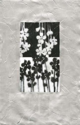 Silver Gilded Flowers II