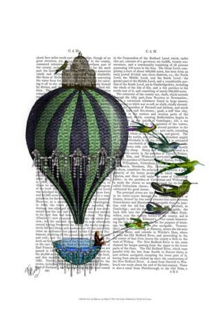 Hot Air Balloon and Birds