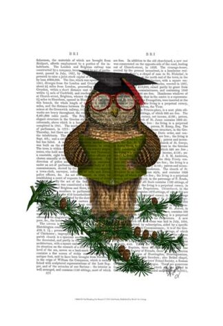 Owl Reading On Branch