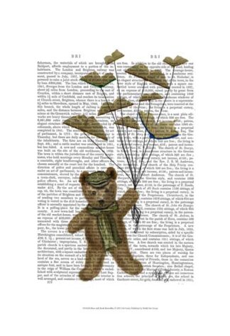 Bear with Book Butterflies