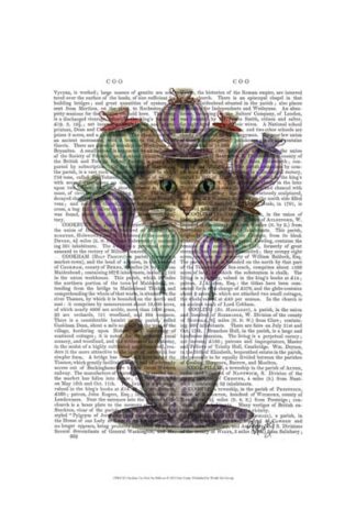 Cheshire Cat Hot Air Balloon