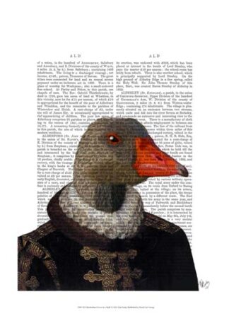 Elizabethan Goose in a Ruff