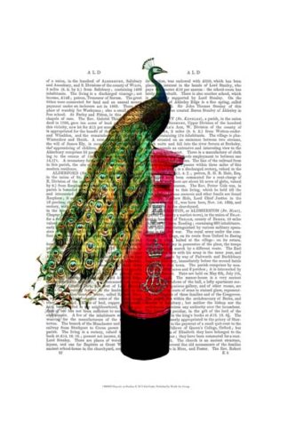 Peacock on Postbox