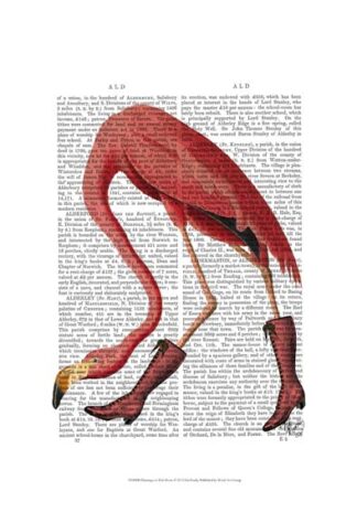 Flamingo in Pink Boots