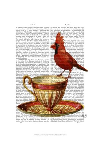 Teacup And Red Cardinal