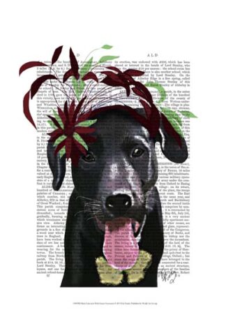 Black Labrador With Green Fascinator
