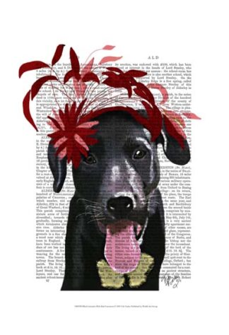 Black Labrador With Red Fascinator