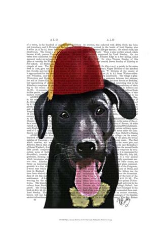 Black Labrador With Fez