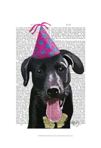 Black Labrador With Party Hat