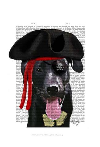 Black Labrador Pirate