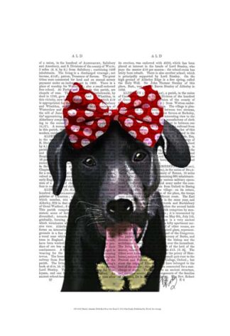Black Labrador With Red Bow On Head