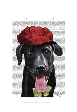 Black Labrador With Red Cap