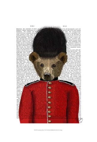 Guardsman Bear