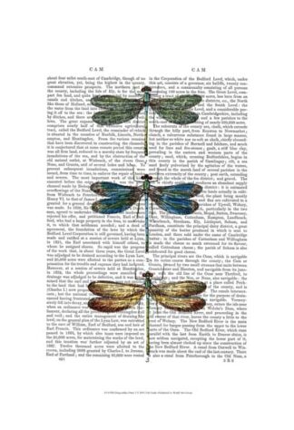 Dragonflies Print 1
