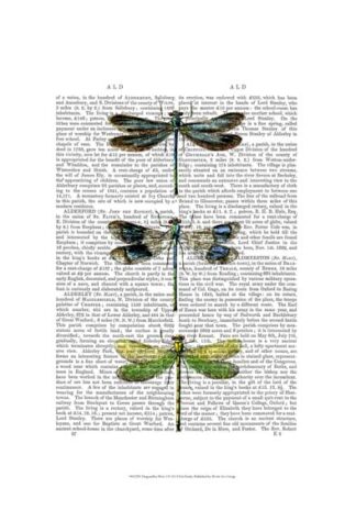 Dragonflies Print 2