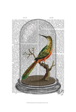 Bird In Bell Jar