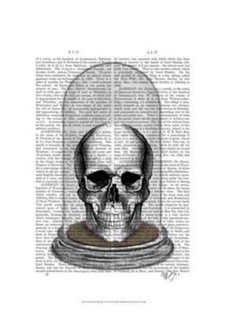 Skull In Bell Jar