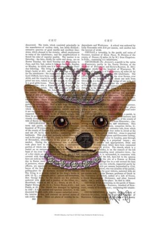 Chihuahua And Tiara