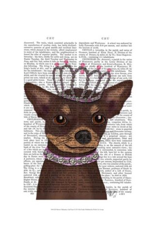 Brown Chihuahua And Tiara