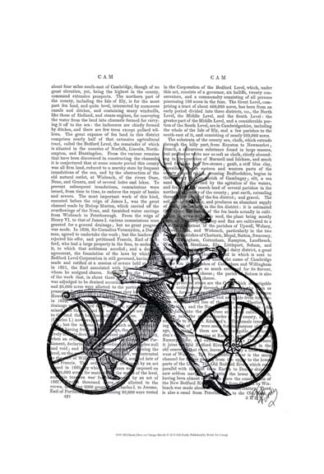 Dandy Deer on Vintage Bicycle
