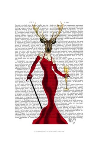 Glamour Deer In Red