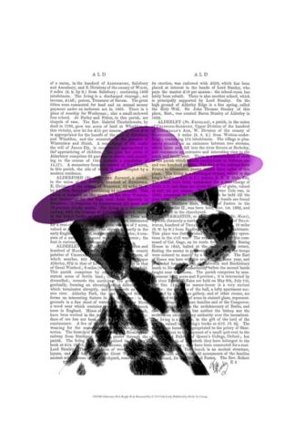 Dalmatian With Purple Wide Brimmed Hat