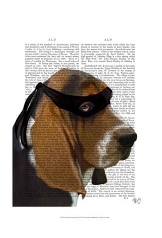 Basset Hound Ninja
