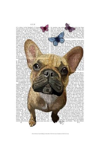 Brown French Bulldog and Butterflies