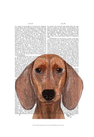 Dachshund Illustration Plain