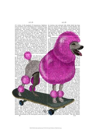 Pink Poodle and Skateboard