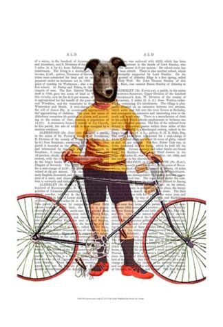 Greyhound Cyclist
