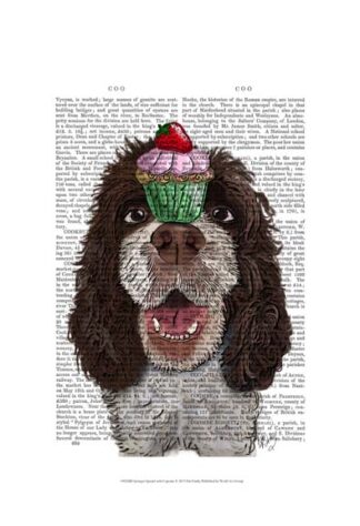 Springer Spaniel with Cupcake