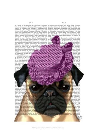 Pug with Vintage Purple Hat