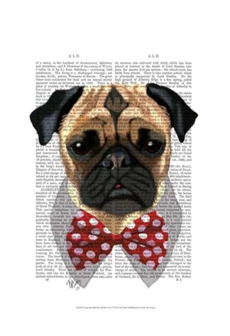 Pug with Red Spotted Bow Tie