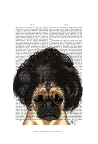 Pug In A Bad Wig