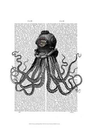 Octopus and Diving Helmet