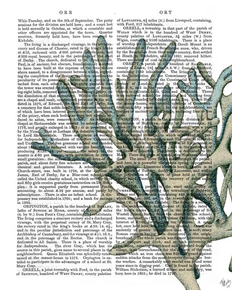 Blue Corals and Sea Urchins III