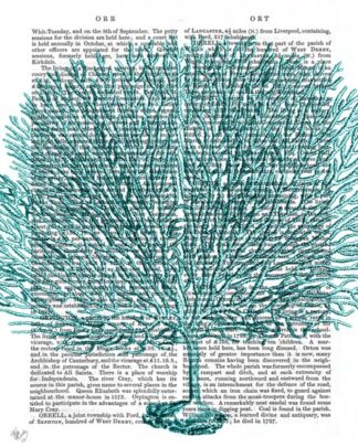 Blue Corals and Sea Urchins IV