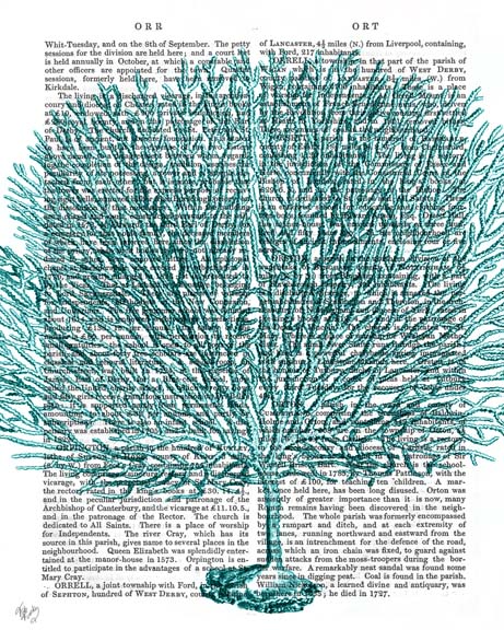 Blue Corals and Sea Urchins IV