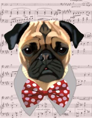 Pug with Red and White Spotty Bow Tie
